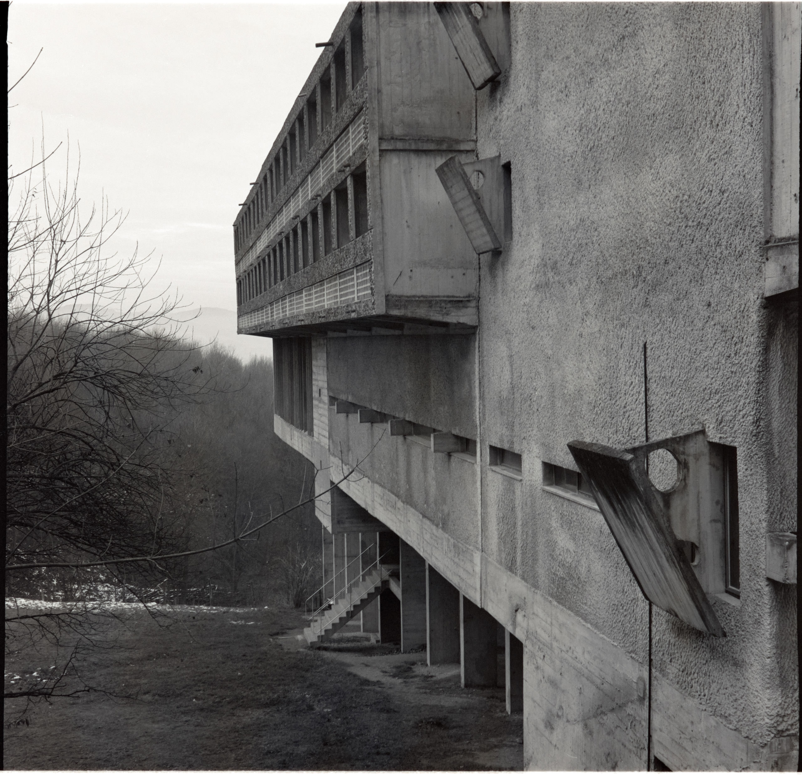 AHP FilmScan 240804 0331